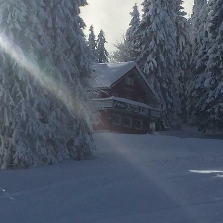 Hotel Auerhahn Feldberg  Esterno foto