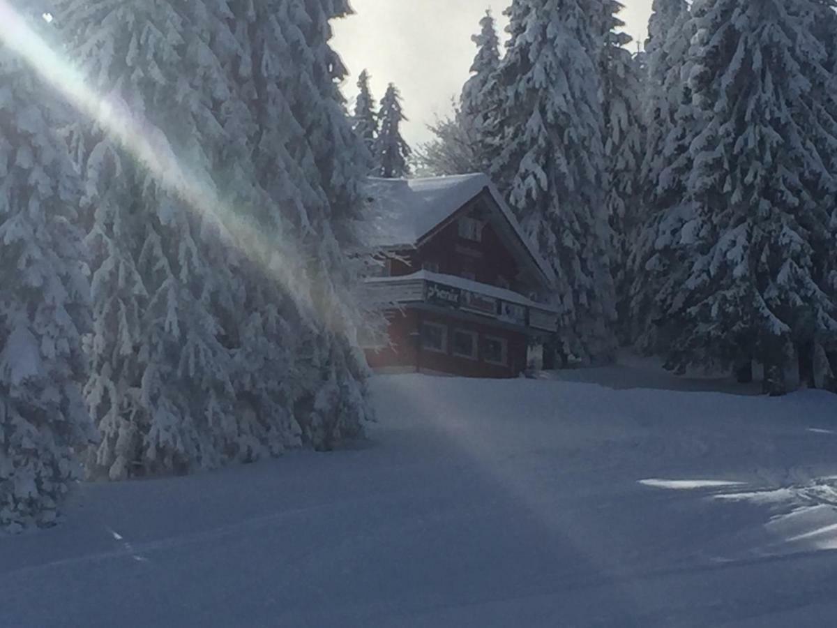 Hotel Auerhahn Feldberg  Esterno foto